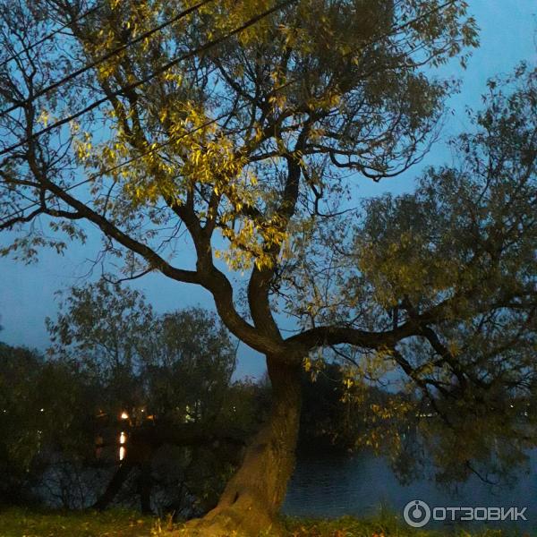Собор Петра и Павла в Петергофе (Россия, Санкт-Петербург) фото