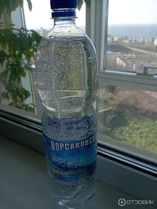 Минеральная газированная вода Северная звезда Корсаковская фото