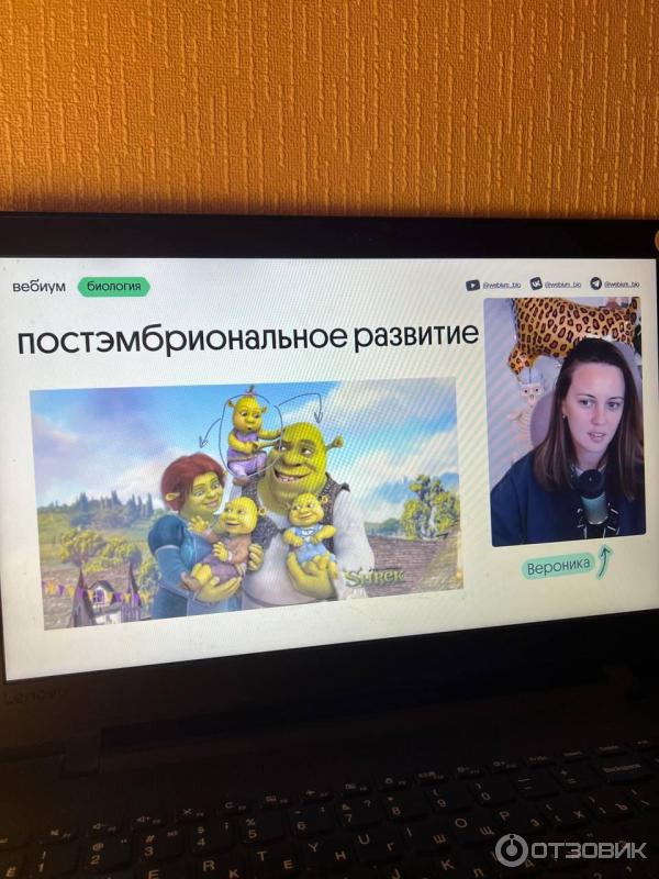 Вебинар
