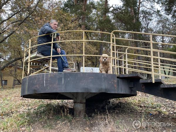 База отдыха Верхний Бор (Россия, Самарская область) фото