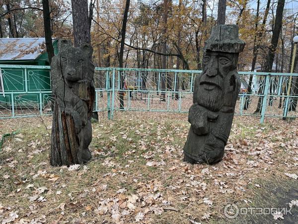 База отдыха Верхний Бор (Россия, Самарская область) фото