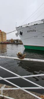 Отдых в Калининграде (Россия, Калининградская область) фото