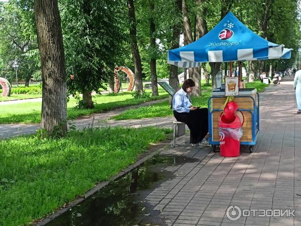 Отзыв о Первомайский бульвар (Россия, Ярославль) | Уникальное место города