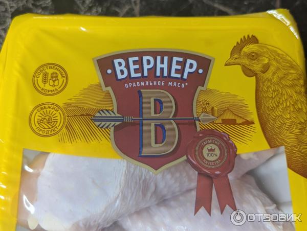 Голень Вернер