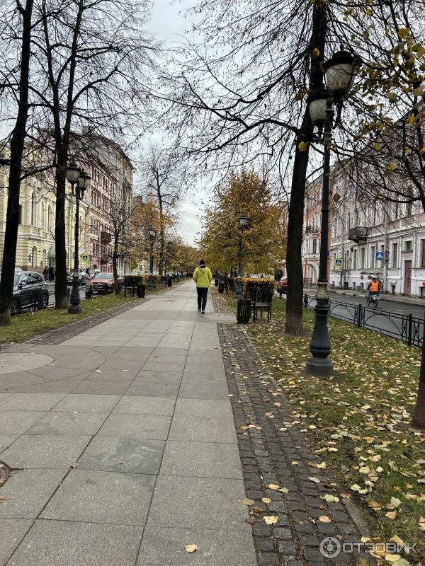 Таврический сад (Россия, Санкт-Петербург)