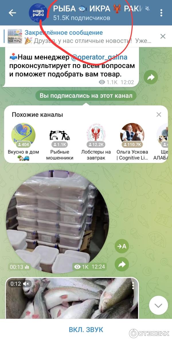 Наша рыбка @nashariba Telegram канал фото