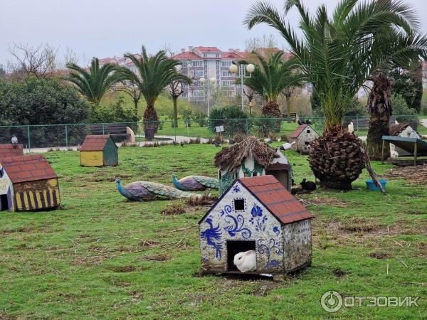 Орнитологический парк в Имеретинской низменности (Россия, Сочи) фото