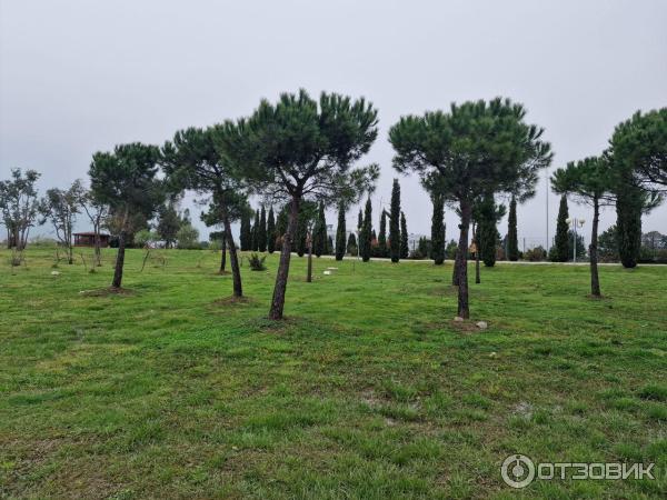 Орнитологический парк в Имеретинской низменности (Россия, Сочи) фото