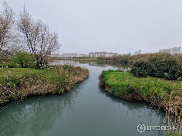 Орнитологический парк в Имеретинской низменности (Россия, Сочи) фото