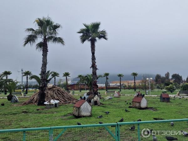 Орнитологический парк в Имеретинской низменности (Россия, Сочи) фото