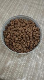 Сухой корм для кошек Premier фото