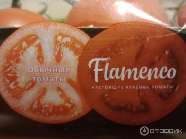 Томат Flamenco Коктейльный фото