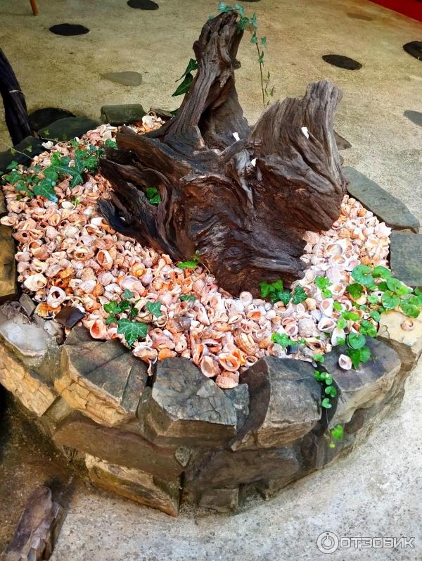 Отзывы о сборный дом в Лазаревское Отзывы о сборный дом в Лазаревское