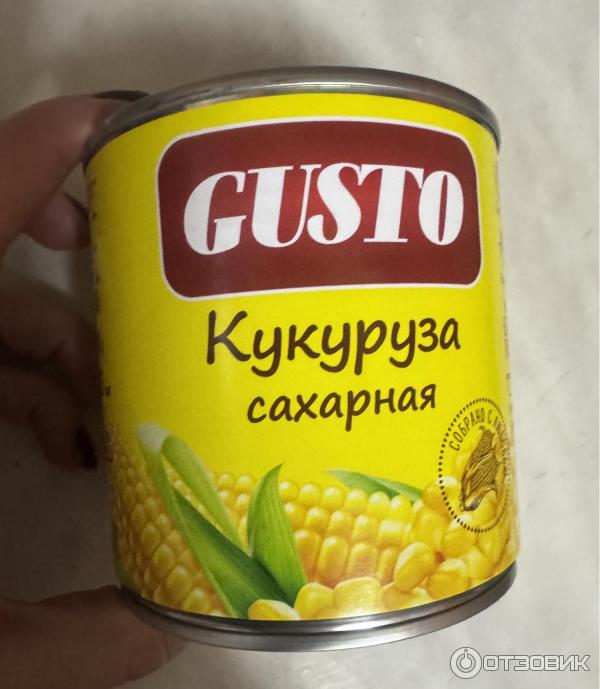 Кукуруза сладкая Gusto фото