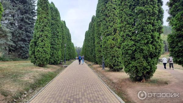 Кисловодский национальный парк (Россия, Кисловодск) фото