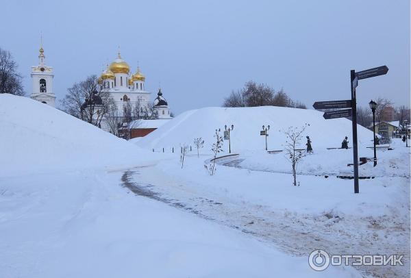 Музей лягушки в Дмитрове (Россия, Дмитров) фото