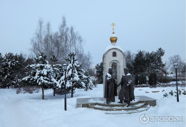 Музей лягушки в Дмитрове (Россия, Дмитров) фото