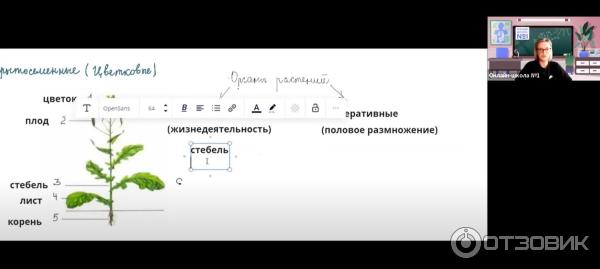 Onlineschool-1.ru - Онлайн-школа 1 для детей фото