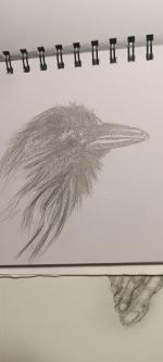 Kalachevaschool.ru - онлайн-школа рисования Вероники Калачевой фото