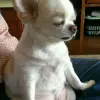 yvvpfucmrr